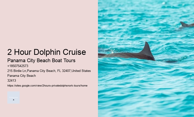 Dolphin Tours Gulf Shores
