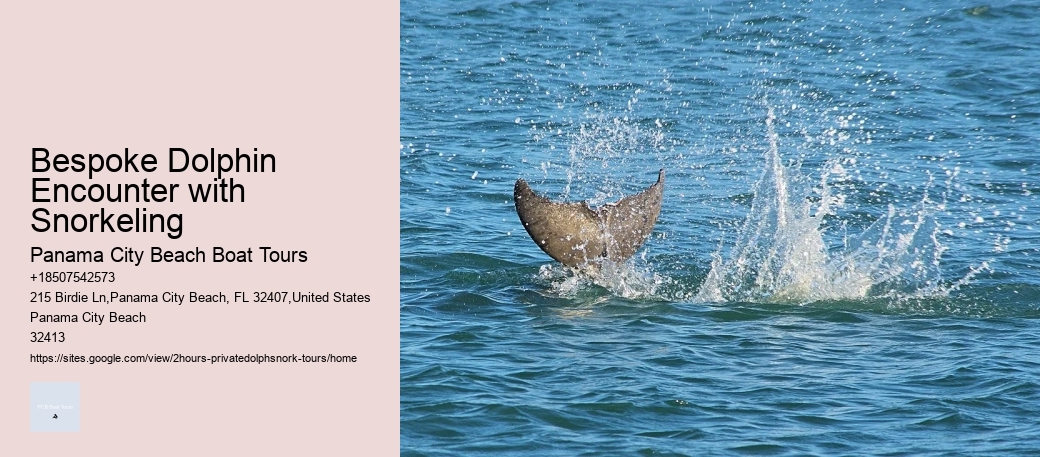 Dolphin Tours Jupiter Fl