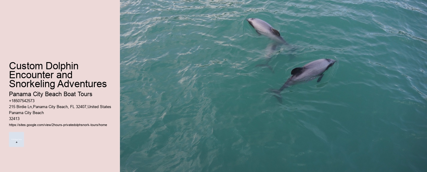 Custom Dolphin Encounter and Snorkeling Adventures