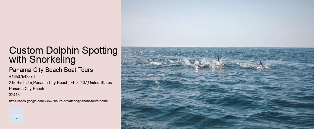 Custom Dolphin Spotting with Snorkeling