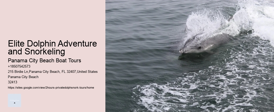 Pier 21 Dolphin Tours Galveston