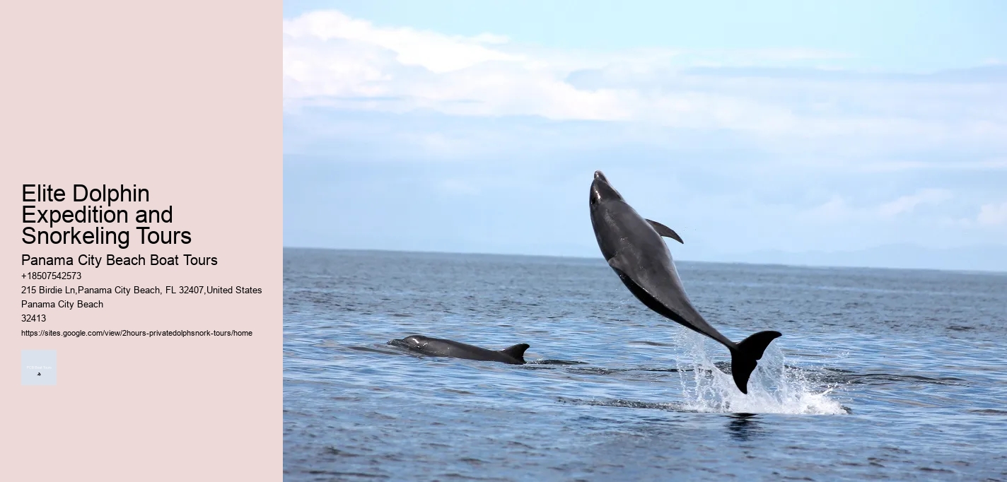 Fort Myers Dolphin Tours