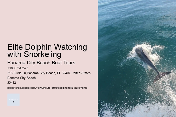 1 Dolphin Court Nantucket