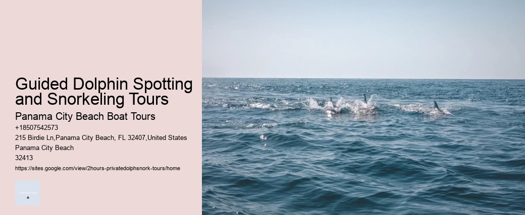 Estero Bay Express Dolphin Tours