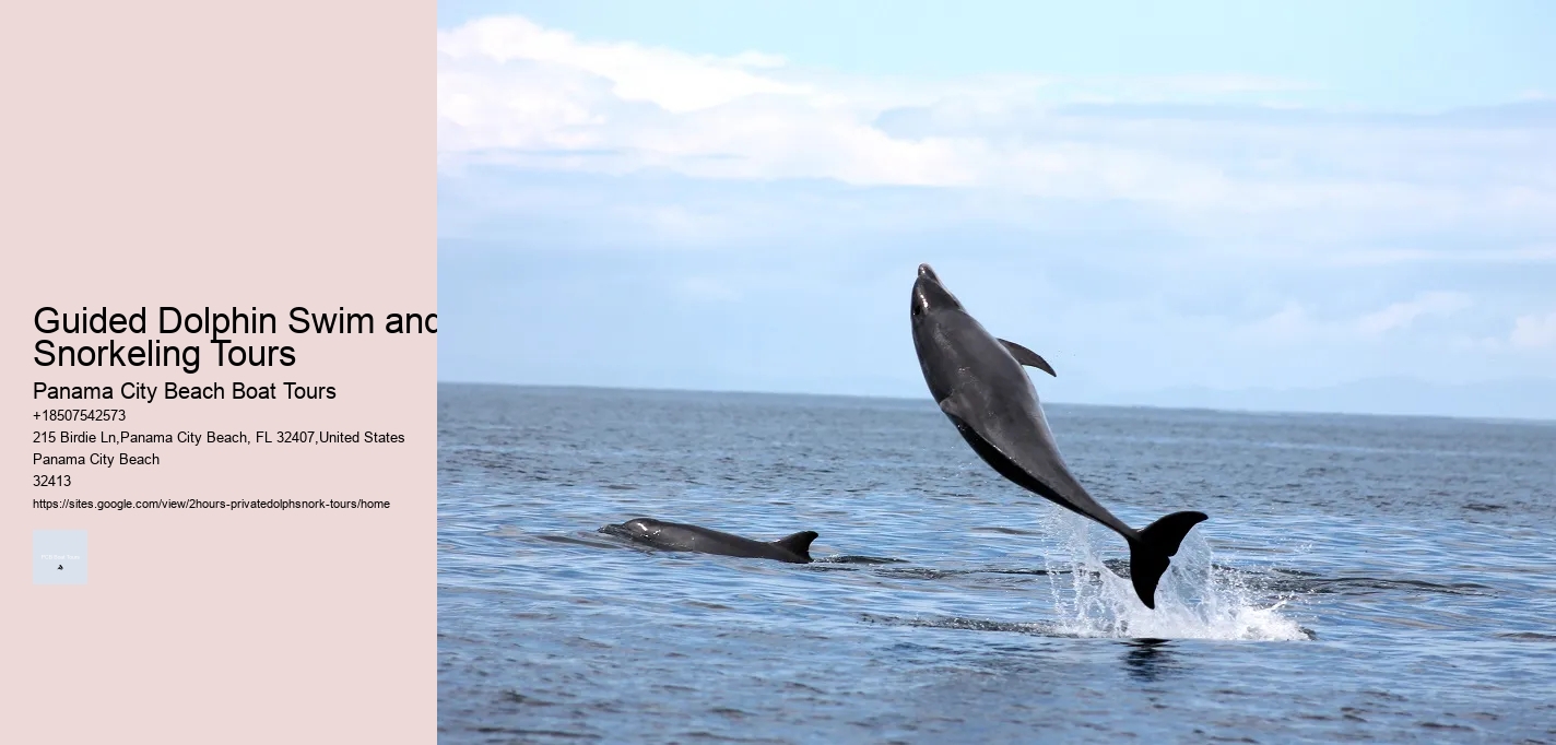 Guided Dolphin Swim and Snorkeling Tours