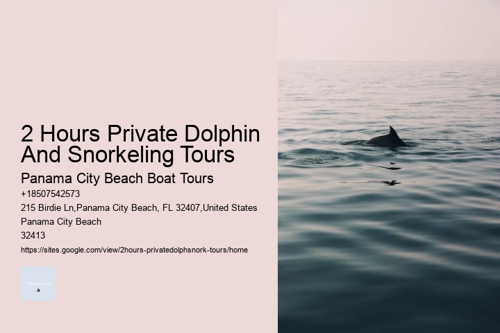 Secluded Dolphin Encounter with Snorkeling