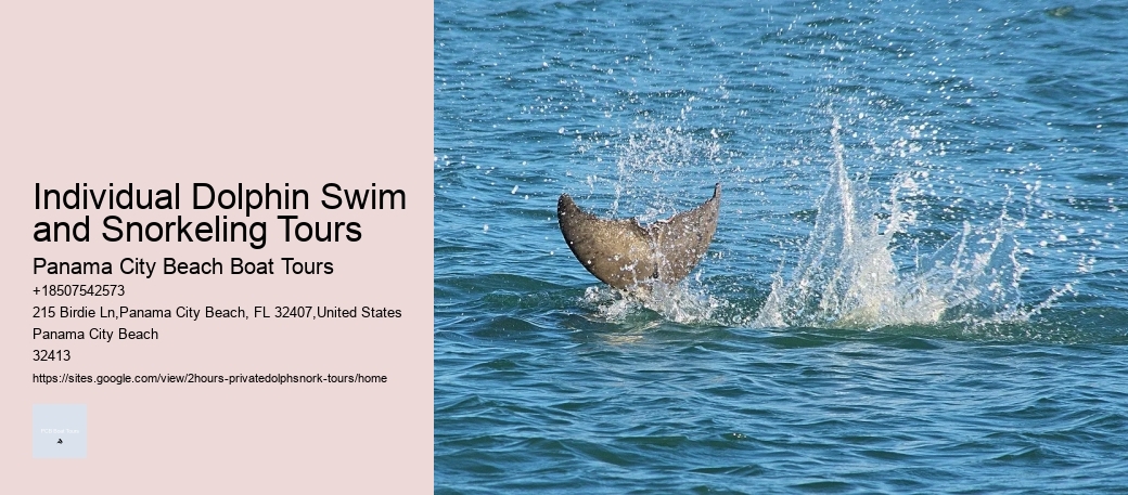 Individual Dolphin Swim and Snorkeling Tours