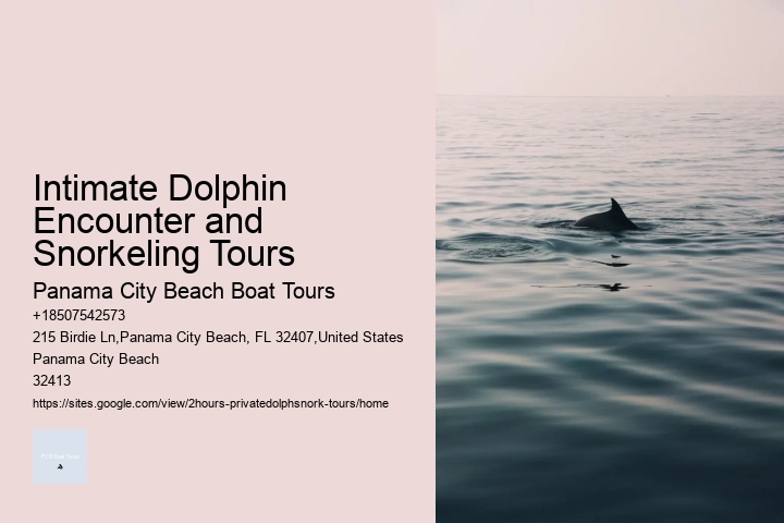 Intimate Dolphin Encounter and Snorkeling Tours