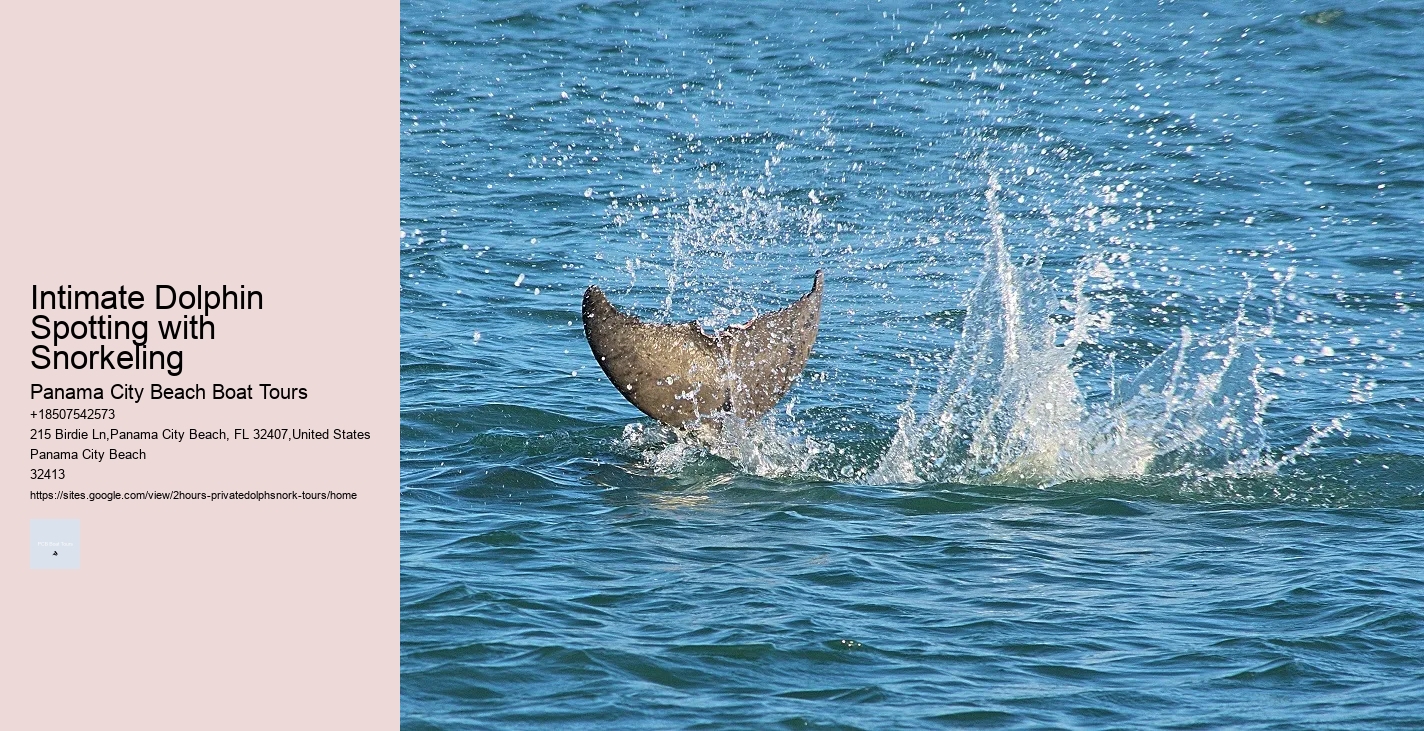 Dolphin Snorkeling Oahu