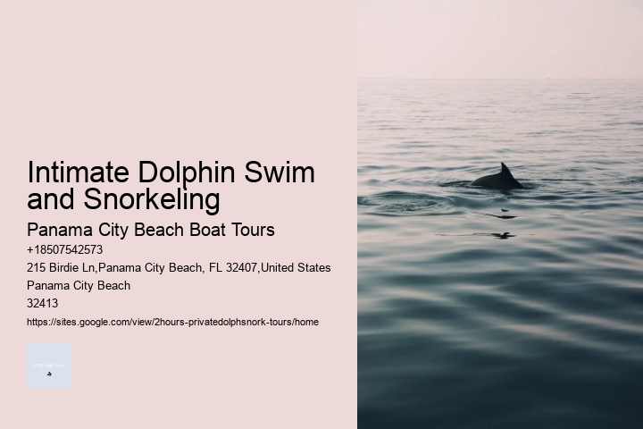 Intimate Dolphin Swim and Snorkeling