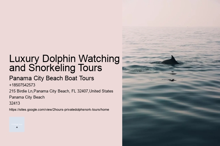 Luxury Dolphin Watching and Snorkeling Tours