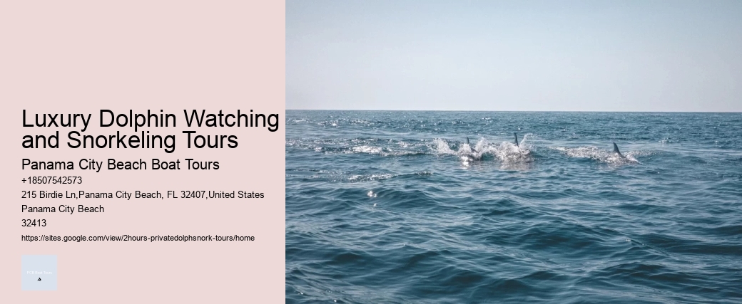 Crab Island Dolphin Tours