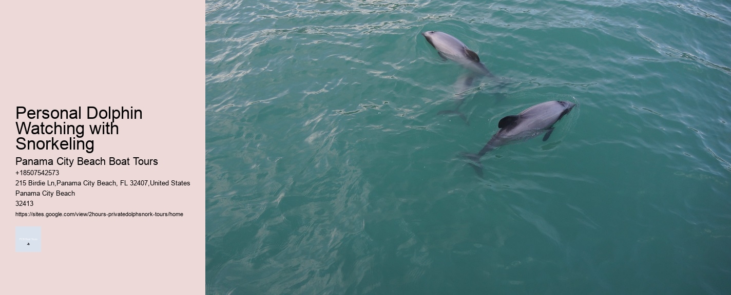 Personal Dolphin Watching with Snorkeling