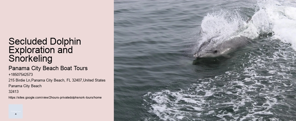 Dolphin Watching Umhlanga