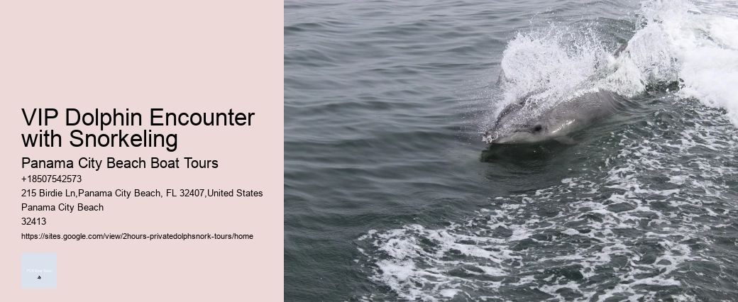 Papa Joe's Dolphin Cruise