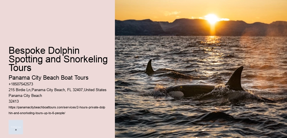 Best Time Of Year For Whale Watching