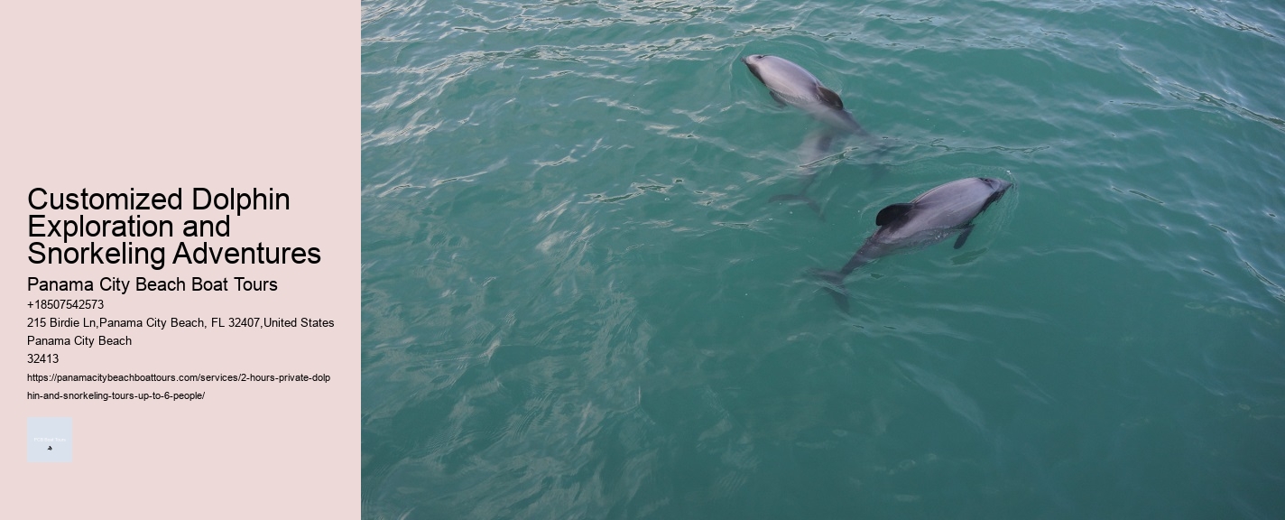 Customized Dolphin Exploration and Snorkeling Adventures