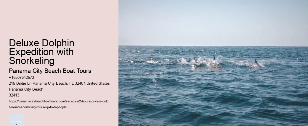 Deluxe Dolphin Expedition with Snorkeling