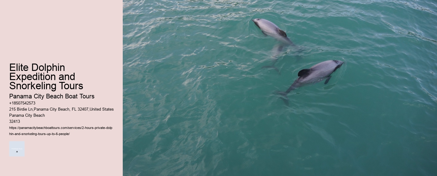 Sarasota Dolphin Tours