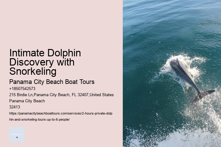 Little Toot Dolphin Tours