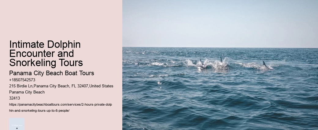 Dolphin Quest Hawaii Tours