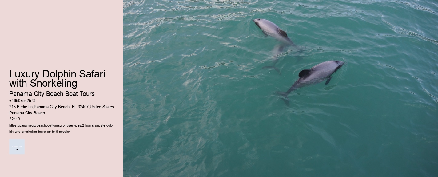 Luxury Dolphin Safari with Snorkeling