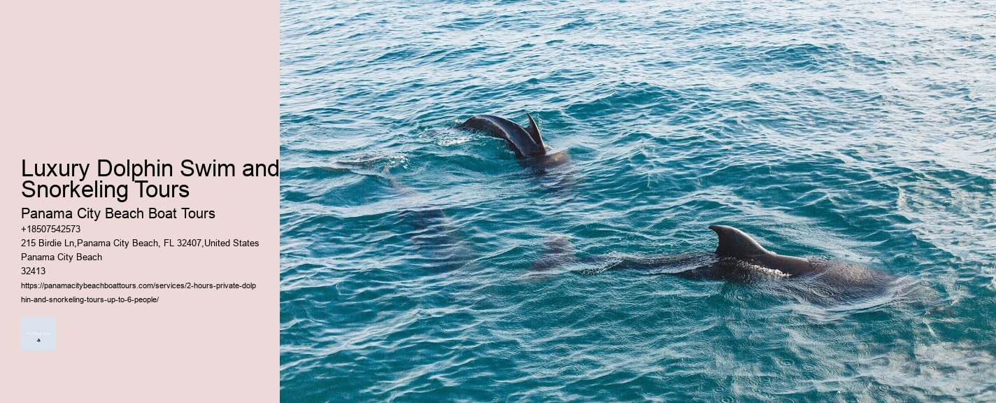 Luxury Dolphin Swim and Snorkeling Tours