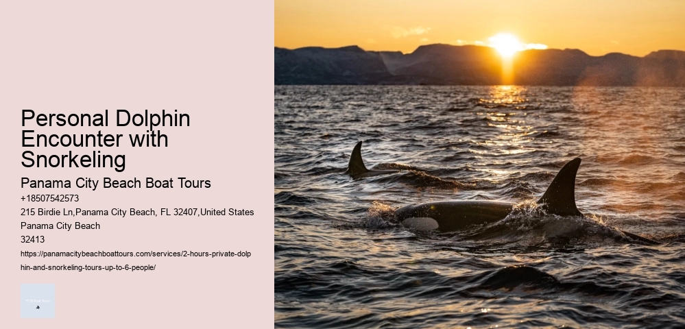 Dolphin Tours Costa Rica