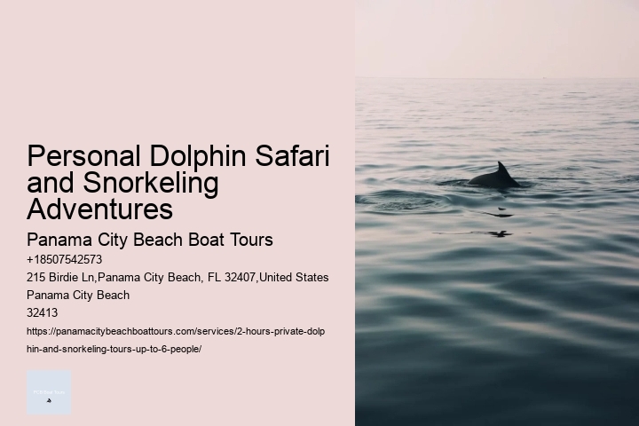 Personal Dolphin Safari and Snorkeling Adventures