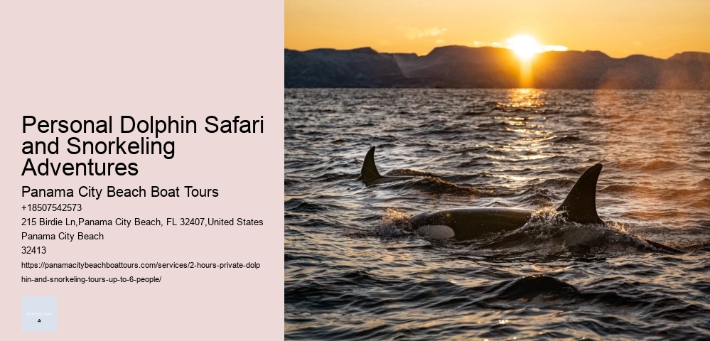 Dolphin Tours Lovina