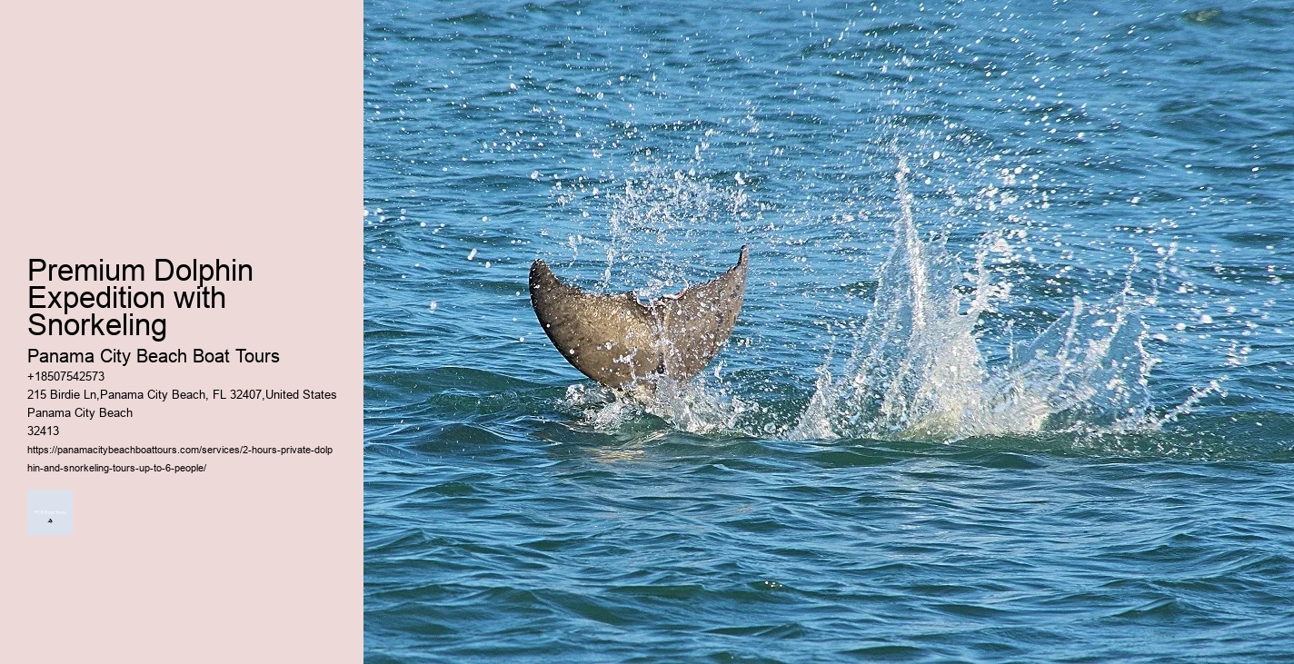 Best Dolphin Cruise Panama City Beach