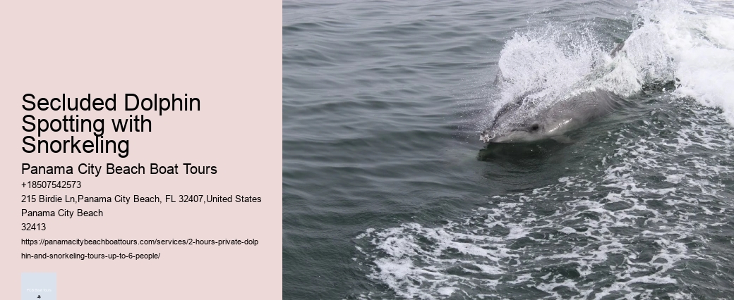 Dolphin's Dark Side Uncovered: The Shocking Truth