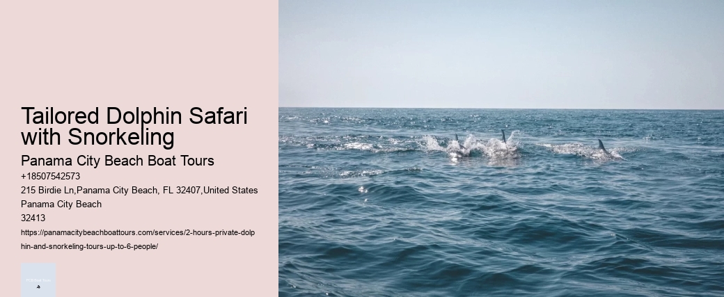 Dolphin Tours Myrtle Beach Sc