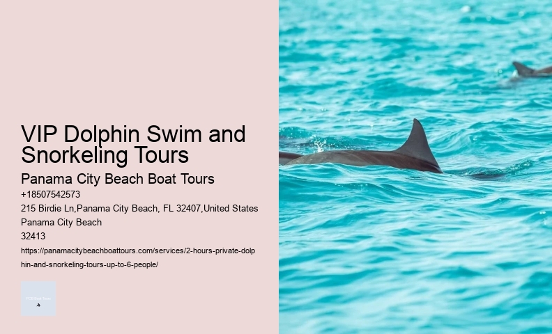 Dolphin Tours Hollywood Fl