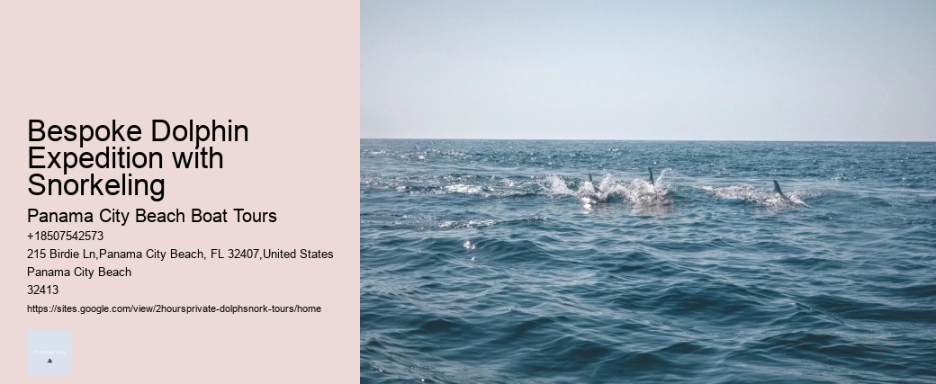 Bespoke Dolphin Expedition with Snorkeling