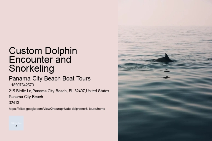 Custom Dolphin Encounter and Snorkeling