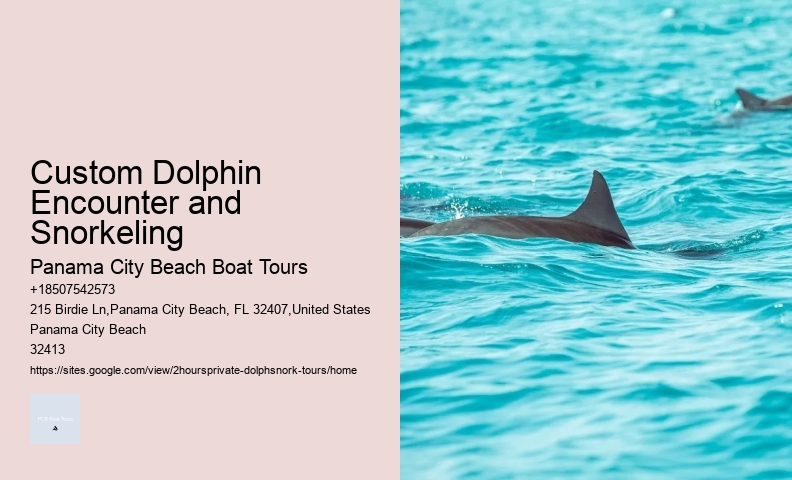 Dolphin Tours Florida Keys