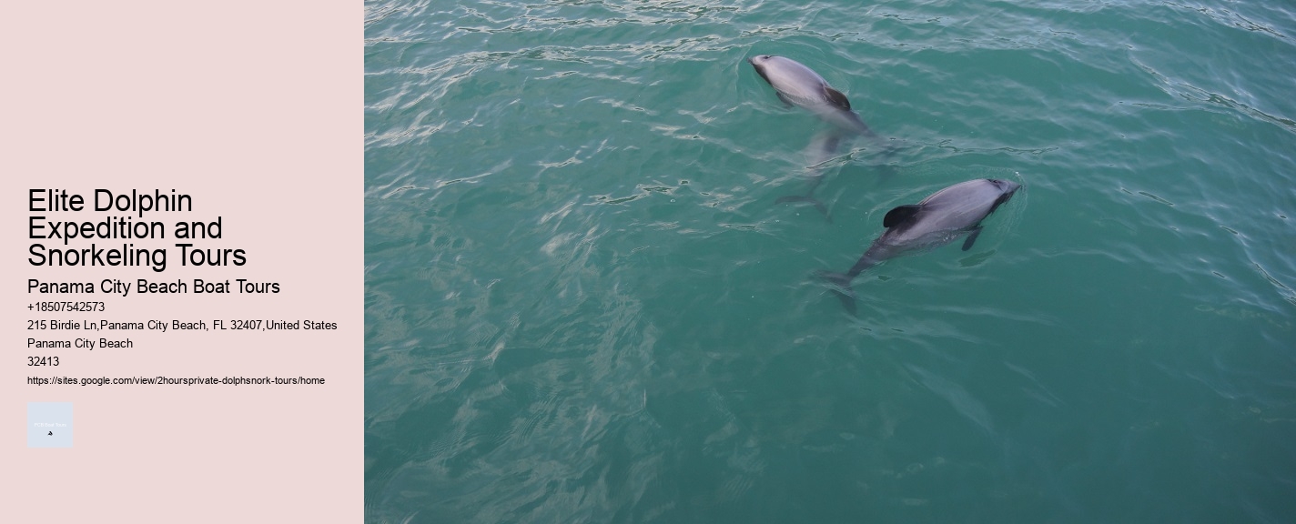 Elite Dolphin Expedition and Snorkeling Tours
