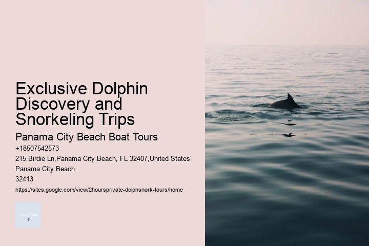 Exclusive Dolphin Discovery and Snorkeling Trips