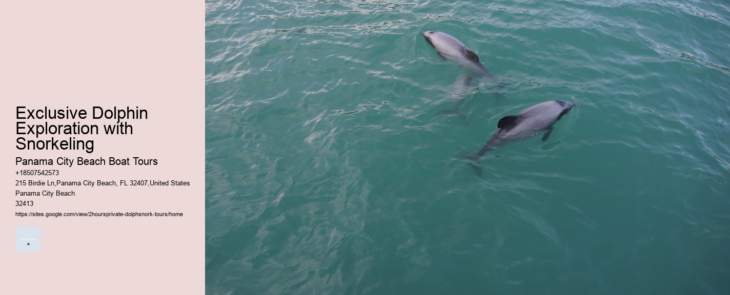 Exclusive Dolphin Exploration with Snorkeling