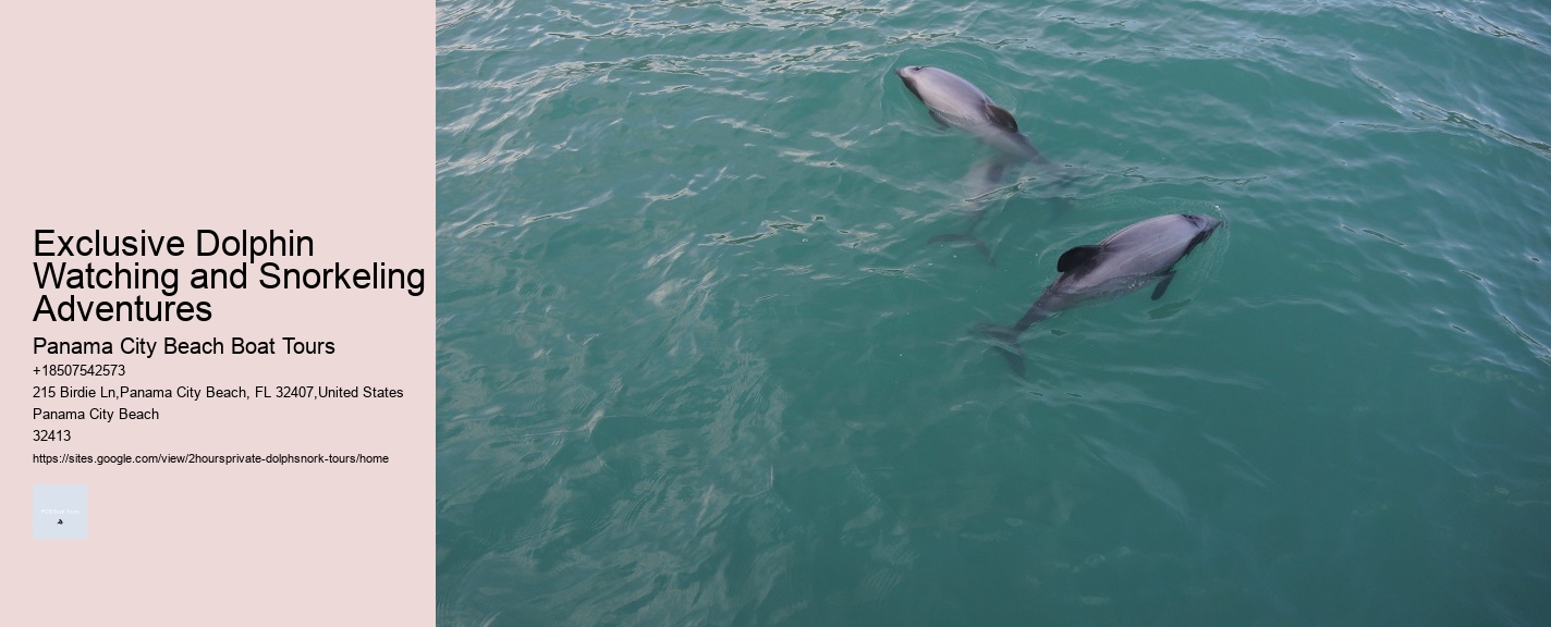 Exclusive Dolphin Watching and Snorkeling Adventures