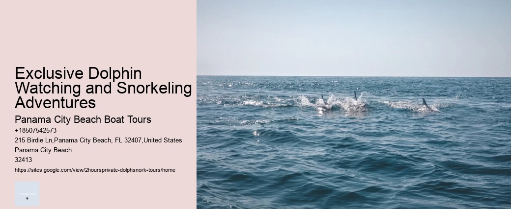 What Is The Best Month To Go Whale Watching