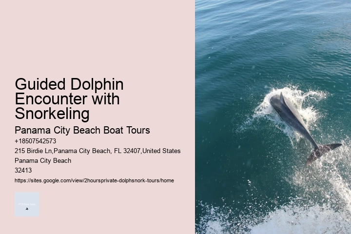 Venice Dolphin Tours