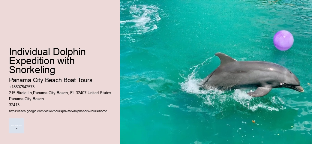 Pacific White-sided Dolphin