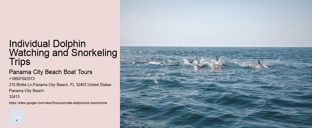 Individual Dolphin Watching and Snorkeling Trips