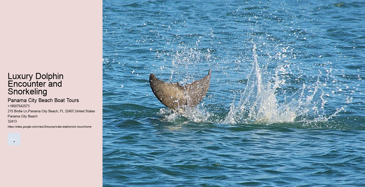 The Entire Brain Is Active In Dolphins