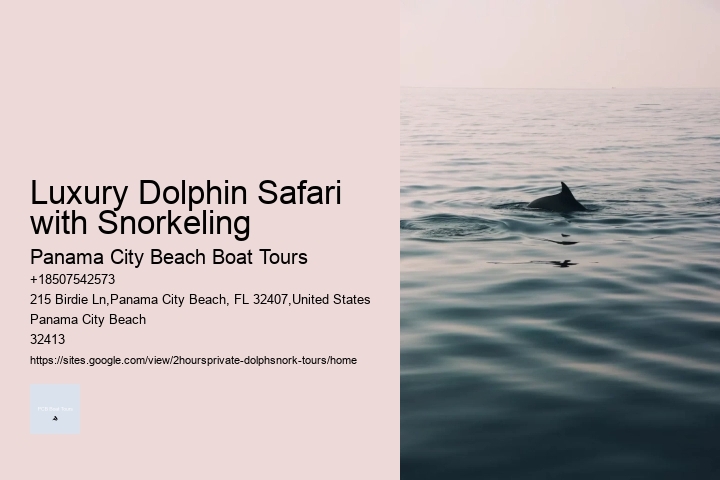 Luxury Dolphin Safari with Snorkeling