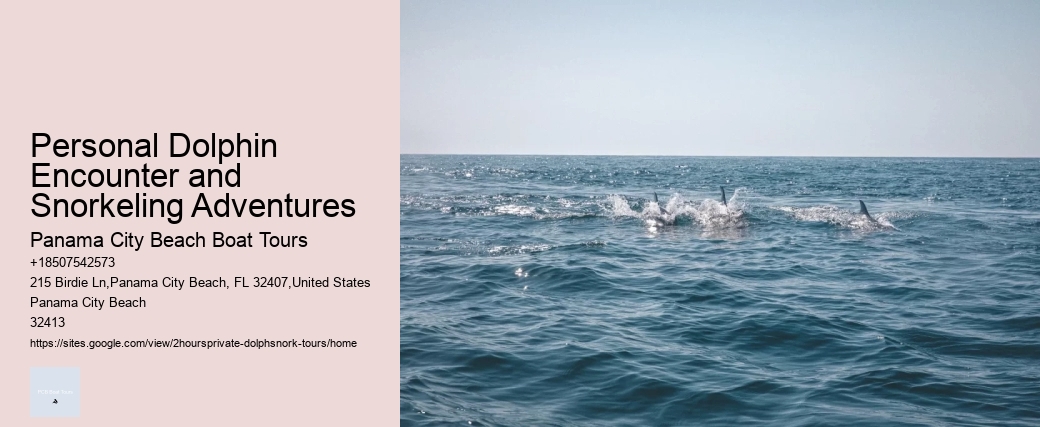 Personal Dolphin Encounter and Snorkeling Adventures