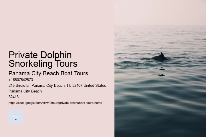 Dolphin Tours Biloxi Ms