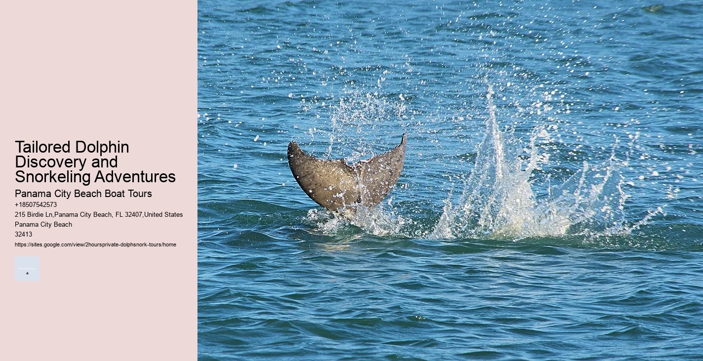 Dolphin Tours Kill Devil Hills